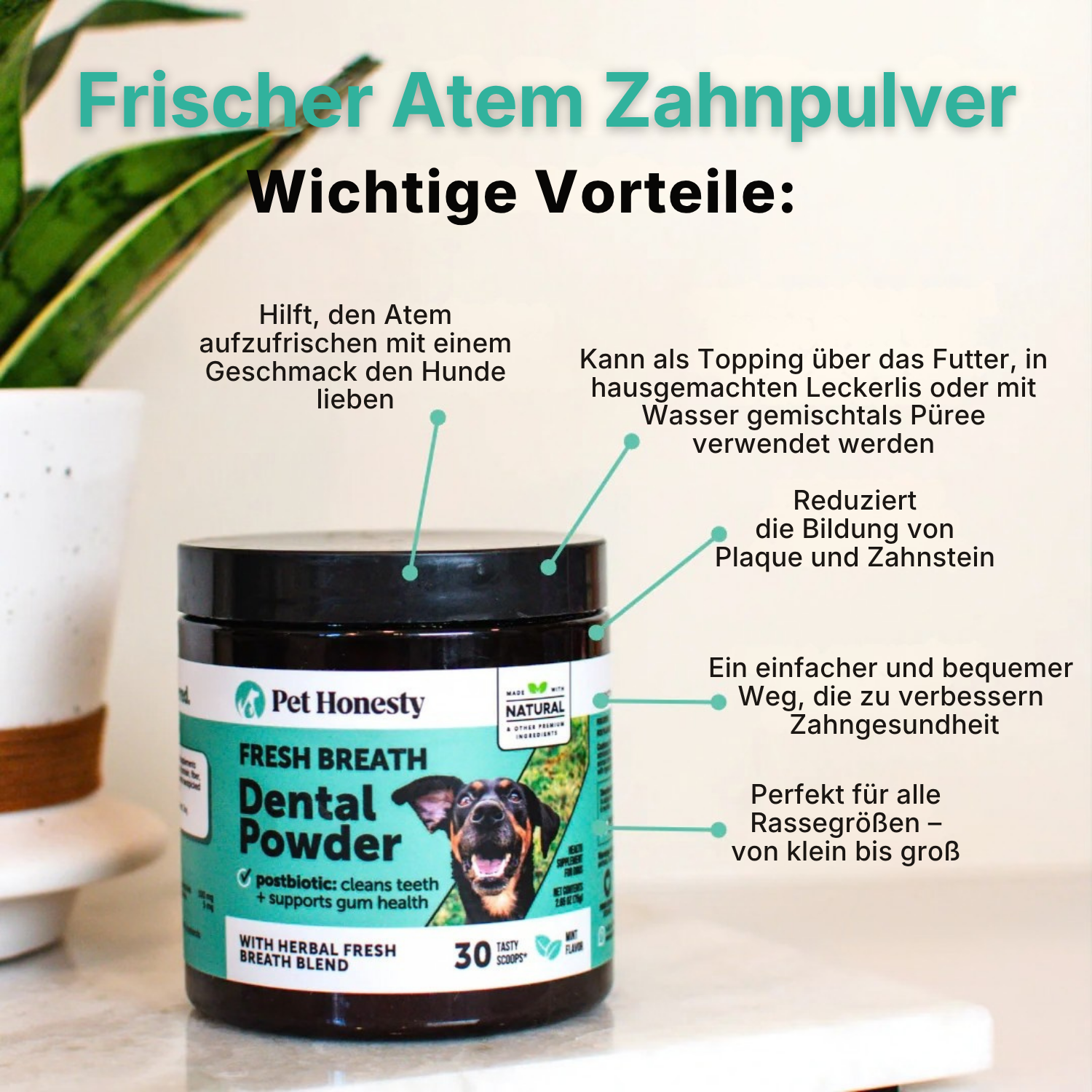 Pet Honesty – Zahnpulver für Hunde | Gesündere Maulpflege von innen