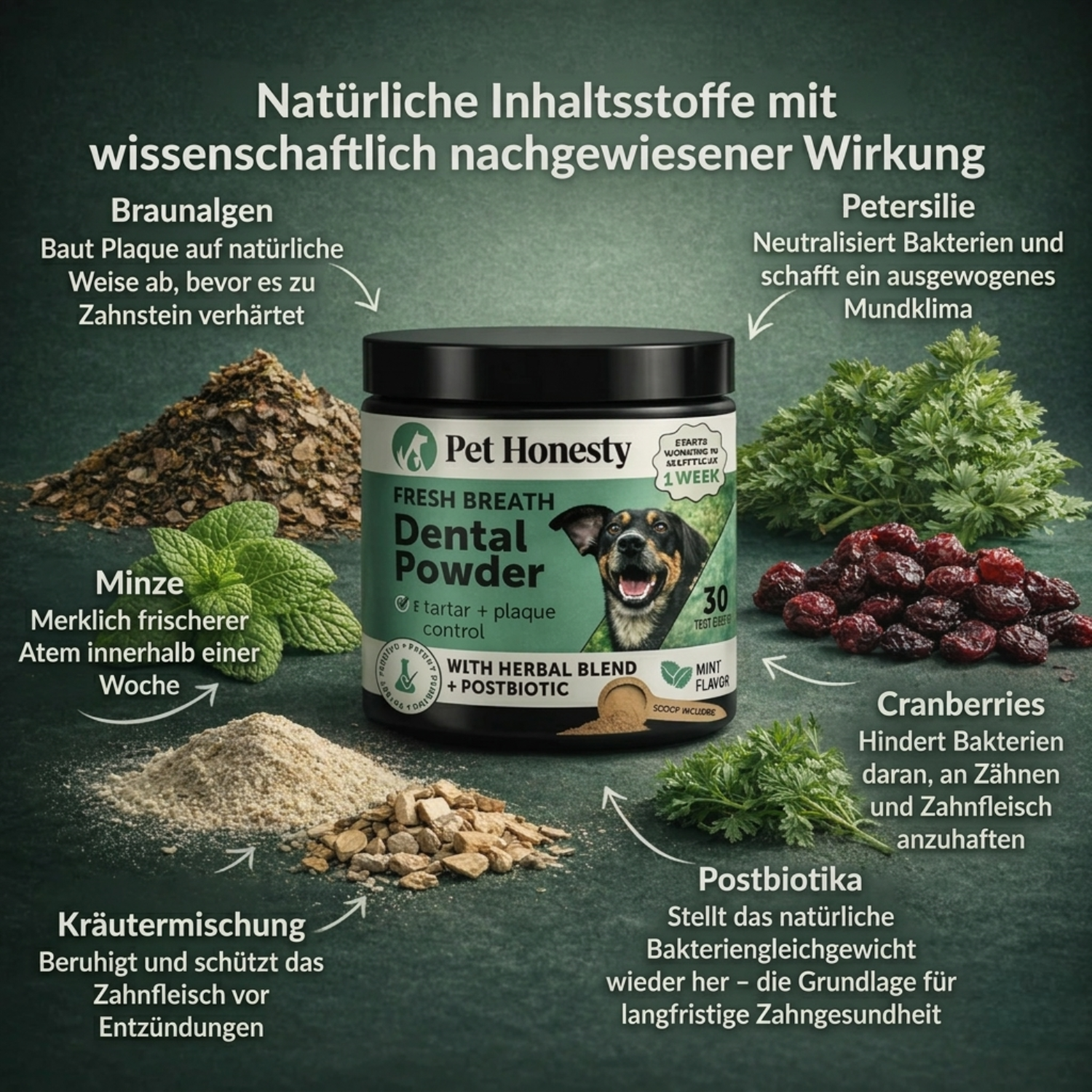 Pet Honesty – Zahnpulver für Hunde | Gesündere Maulpflege von innen