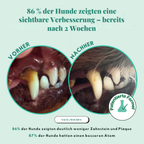 Pet Honesty – Zahnpulver für Hunde | Gesündere Maulpflege von innen
