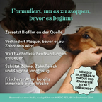 Pet Honesty – Zahnpulver für Hunde | Gesündere Maulpflege von innen