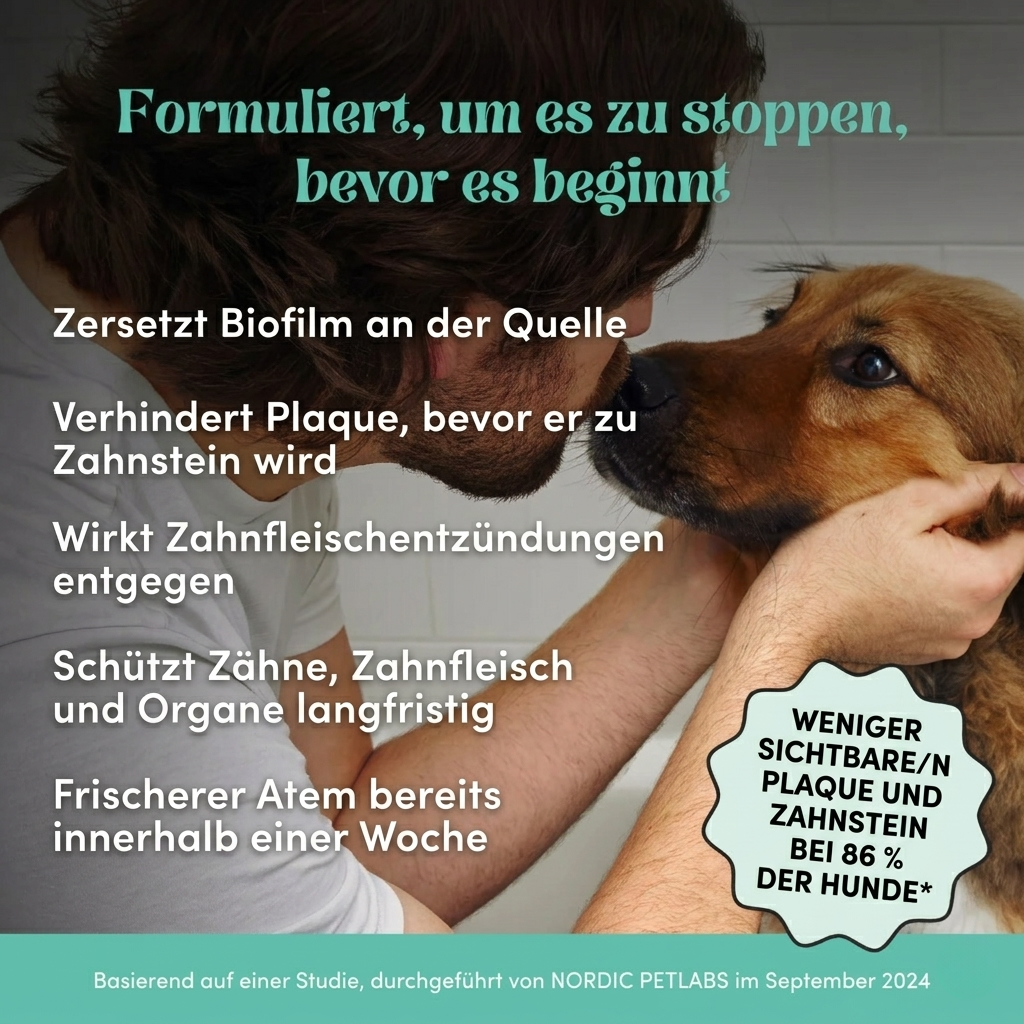 Pet Honesty – Zahnpulver für Hunde | Gesündere Maulpflege von innen